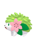 Shaymin