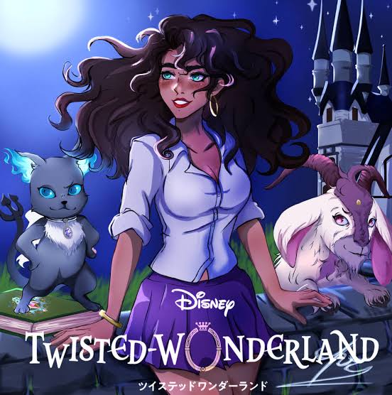 Disney Twisted-Wonderland Characters Bias Sorter
